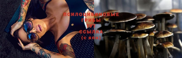 МДПВ Рославль