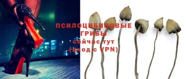 ПСИЛОЦИБИНОВЫЕ ГРИБЫ Михайловка