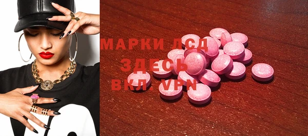 гидра Надым