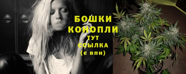 ПСИЛОЦИБИНОВЫЕ ГРИБЫ Михайловка