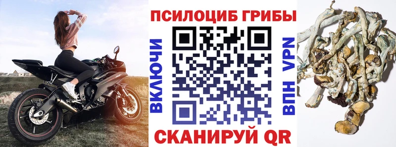 Галлюциногенные грибы GOLDEN TEACHER  Усинск 
